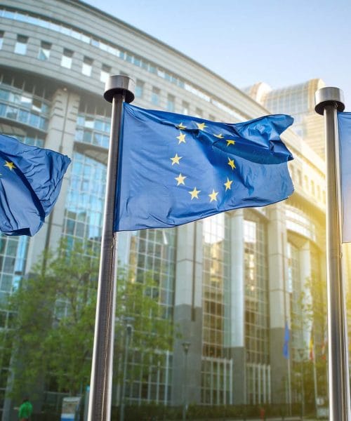 União Europeia lança manual de boas práticas para cumprir legislação contra desmatamento