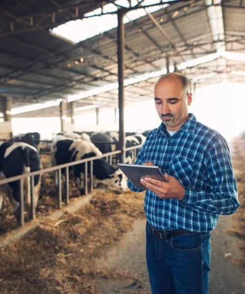 Como o planejamento financeiro ajuda a acessar capital no agronegócio